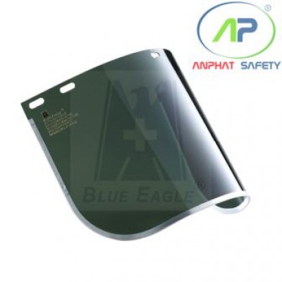 Kính bảo hộ che mặt FC48G5